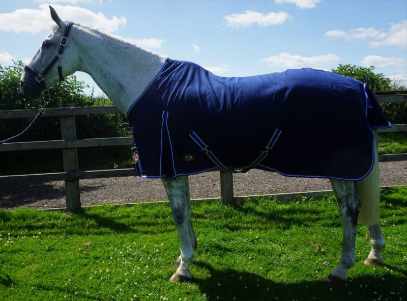 Ruggles Polar Fleece Rug - Navy (7ft)